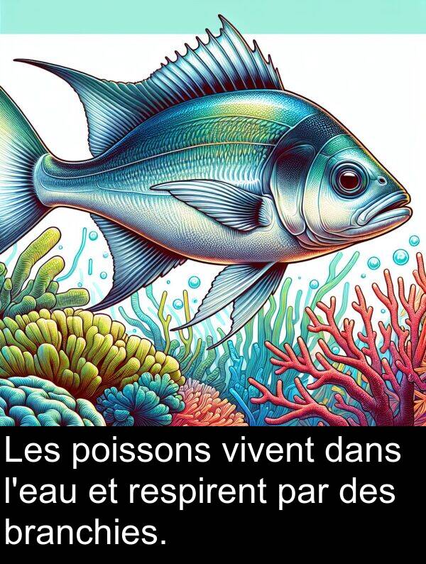 par: Les poissons vivent dans l'eau et respirent par des branchies.