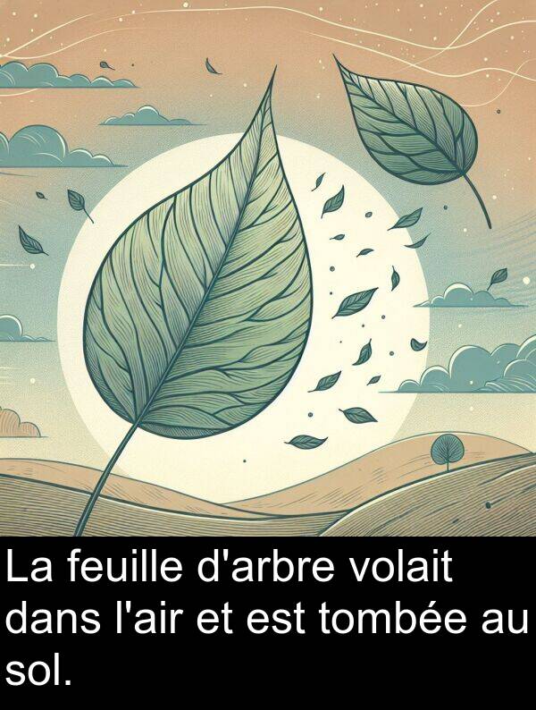 feuille: La feuille d'arbre volait dans l'air et est tombée au sol.