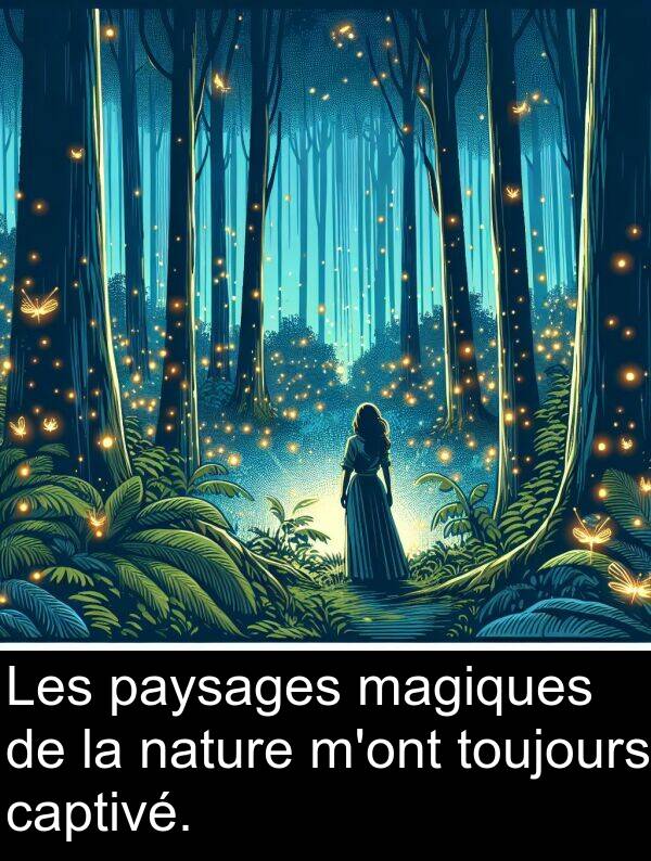 magiques: Les paysages magiques de la nature m'ont toujours captivé.