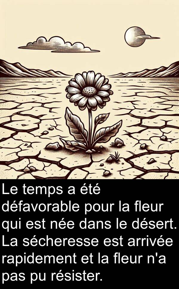 rapidement: Le temps a été défavorable pour la fleur qui est née dans le désert. La sécheresse est arrivée rapidement et la fleur n'a pas pu résister.