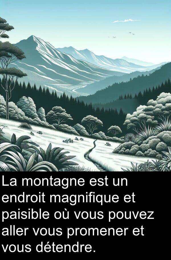 vous: La montagne est un endroit magnifique et paisible où vous pouvez aller vous promener et vous détendre.