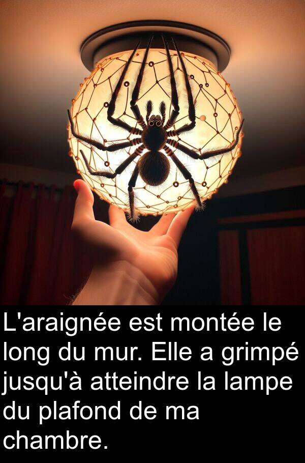 atteindre: L'araignée est montée le long du mur. Elle a grimpé jusqu'à atteindre la lampe du plafond de ma chambre.