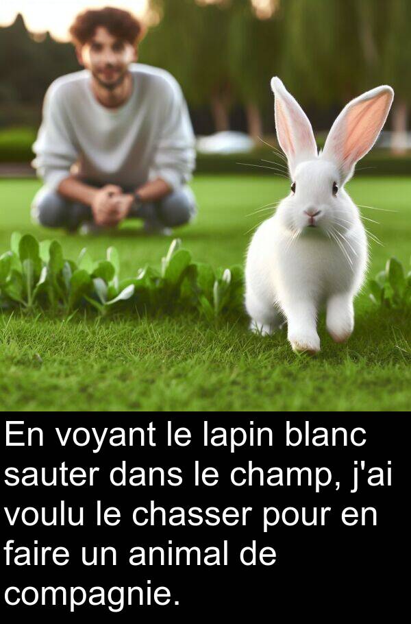 voulu: En voyant le lapin blanc sauter dans le champ, j'ai voulu le chasser pour en faire un animal de compagnie.