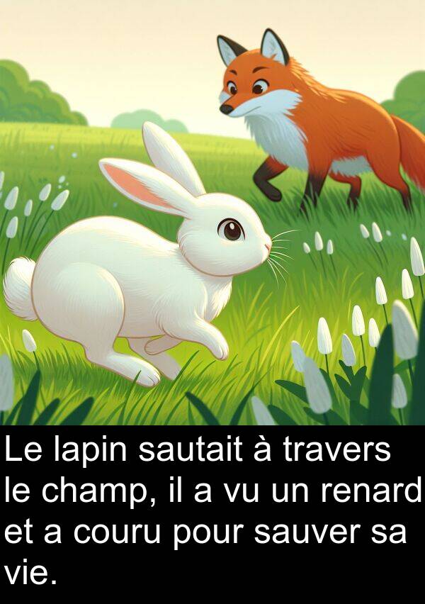 sauver: Le lapin sautait à travers le champ, il a vu un renard et a couru pour sauver sa vie.