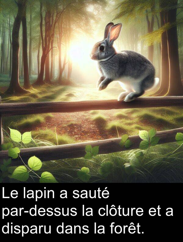 sauté: Le lapin a sauté par-dessus la clôture et a disparu dans la forêt.