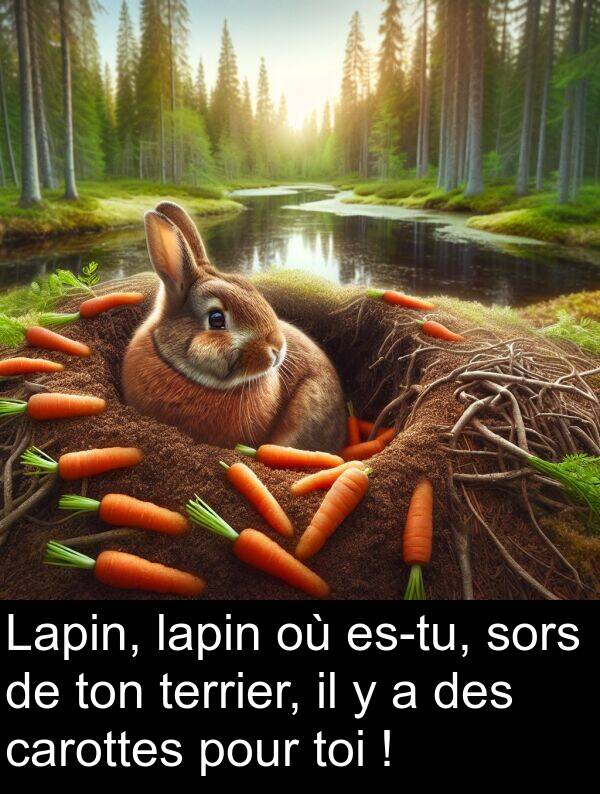 sors: Lapin, lapin où es-tu, sors de ton terrier, il y a des carottes pour toi !