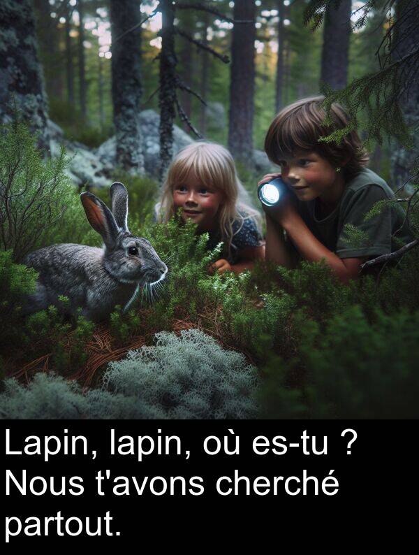 partout: Lapin, lapin, où es-tu ? Nous t'avons cherché partout.