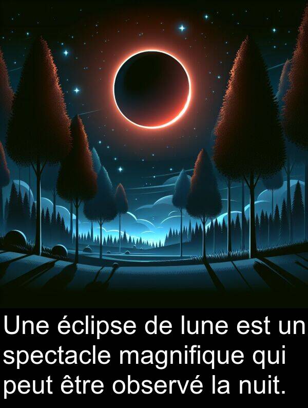 magnifique: Une éclipse de lune est un spectacle magnifique qui peut être observé la nuit.