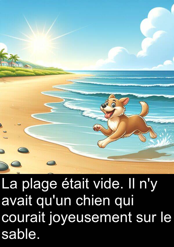 vide: La plage était vide. Il n'y avait qu'un chien qui courait joyeusement sur le sable.