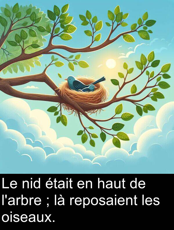 oiseaux: Le nid était en haut de l'arbre ; là reposaient les oiseaux.