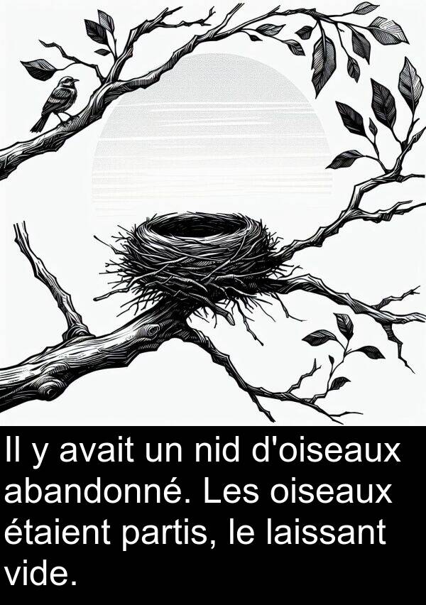 abandonné: Il y avait un nid d'oiseaux abandonné. Les oiseaux étaient partis, le laissant vide.