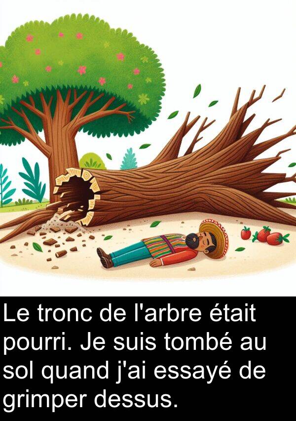 quand: Le tronc de l'arbre était pourri. Je suis tombé au sol quand j'ai essayé de grimper dessus.