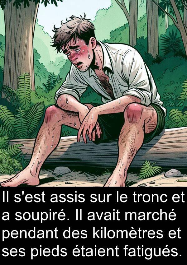 assis: Il s'est assis sur le tronc et a soupiré. Il avait marché pendant des kilomètres et ses pieds étaient fatigués.