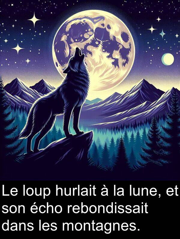 hurlait: Le loup hurlait à la lune, et son écho rebondissait dans les montagnes.