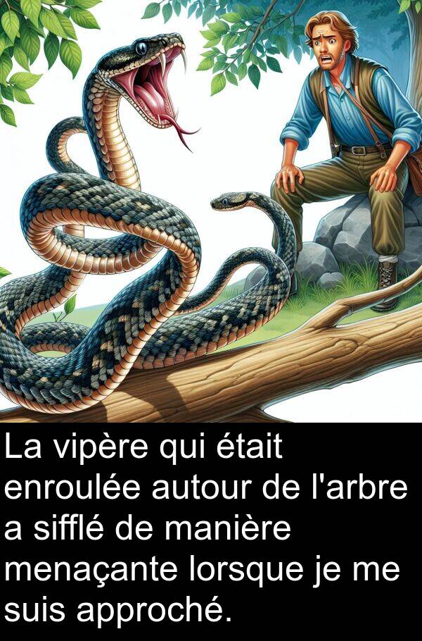 vipère: La vipère qui était enroulée autour de l'arbre a sifflé de manière menaçante lorsque je me suis approché.