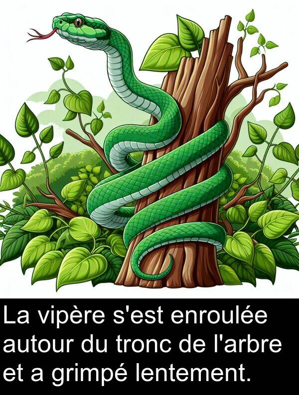 autour: La vipère s'est enroulée autour du tronc de l'arbre et a grimpé lentement.