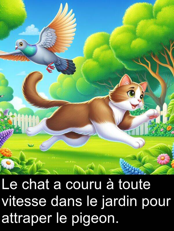 attraper: Le chat a couru à toute vitesse dans le jardin pour attraper le pigeon.