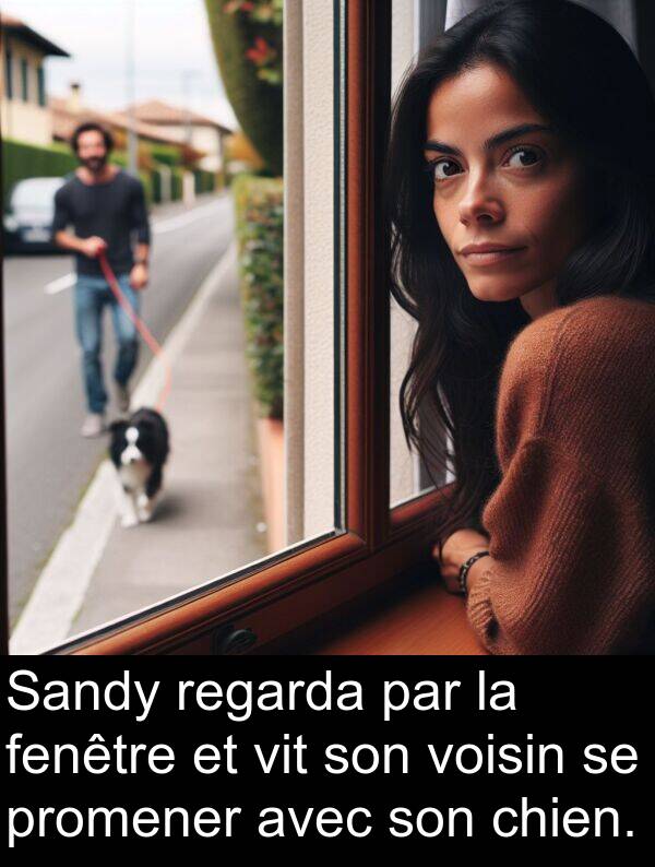 vit: Sandy regarda par la fenêtre et vit son voisin se promener avec son chien.