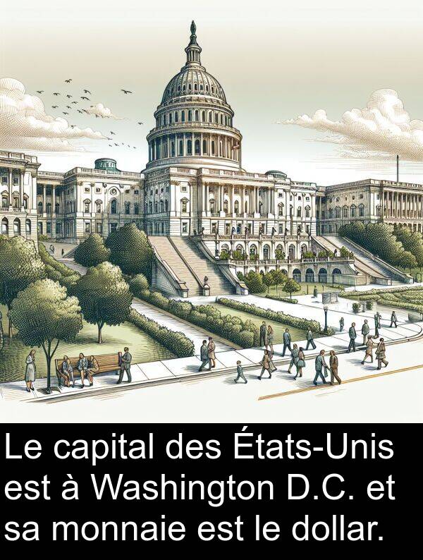 monnaie: Le capital des États-Unis est à Washington D.C. et sa monnaie est le dollar.