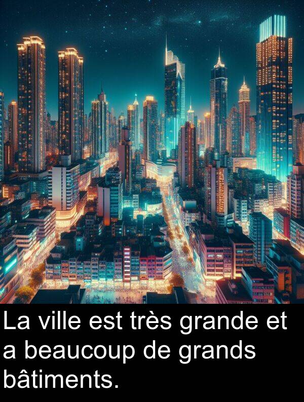 grande: La ville est très grande et a beaucoup de grands bâtiments.