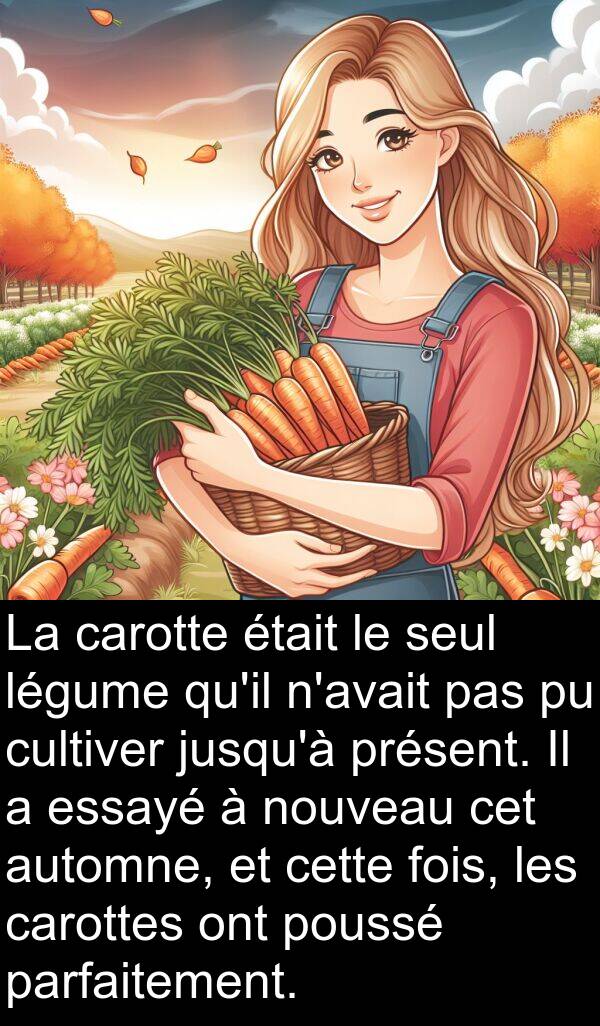 légume: La carotte était le seul légume qu'il n'avait pas pu cultiver jusqu'à présent. Il a essayé à nouveau cet automne, et cette fois, les carottes ont poussé parfaitement.