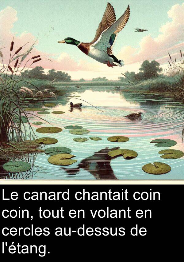 volant: Le canard chantait coin coin, tout en volant en cercles au-dessus de l'étang.