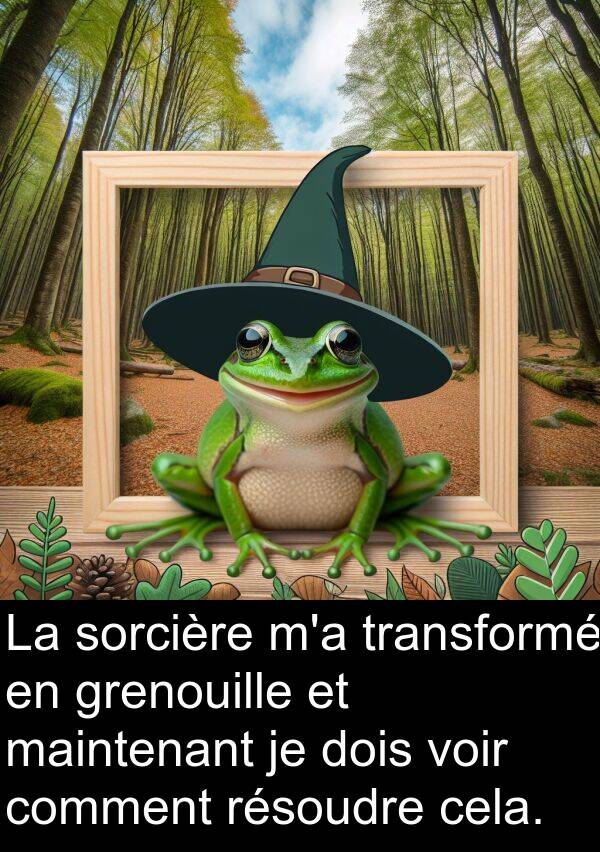 maintenant: La sorcière m'a transformé en grenouille et maintenant je dois voir comment résoudre cela.