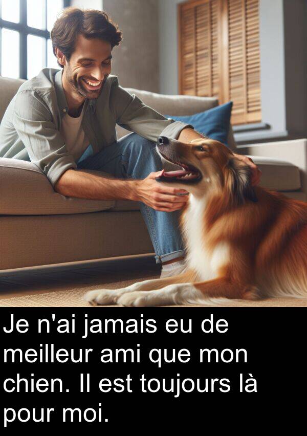 ami: Je n'ai jamais eu de meilleur ami que mon chien. Il est toujours là pour moi.