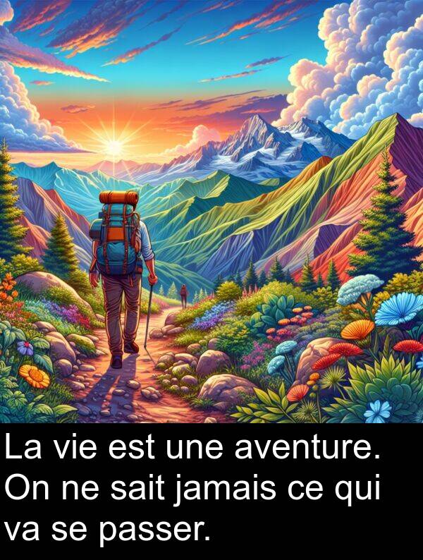 aventure: La vie est une aventure. On ne sait jamais ce qui va se passer.