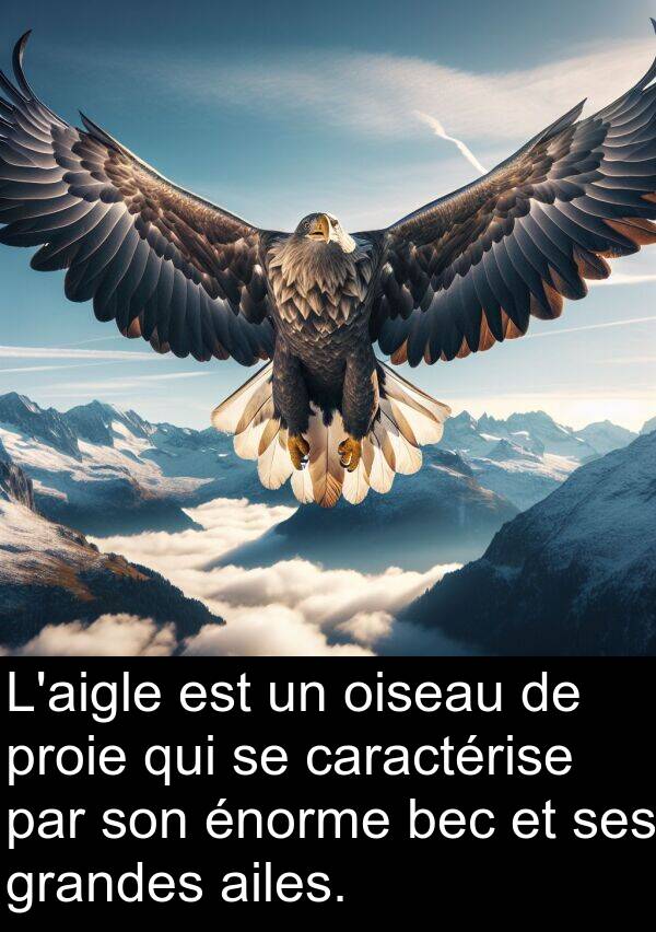 grandes: L'aigle est un oiseau de proie qui se caractérise par son énorme bec et ses grandes ailes.