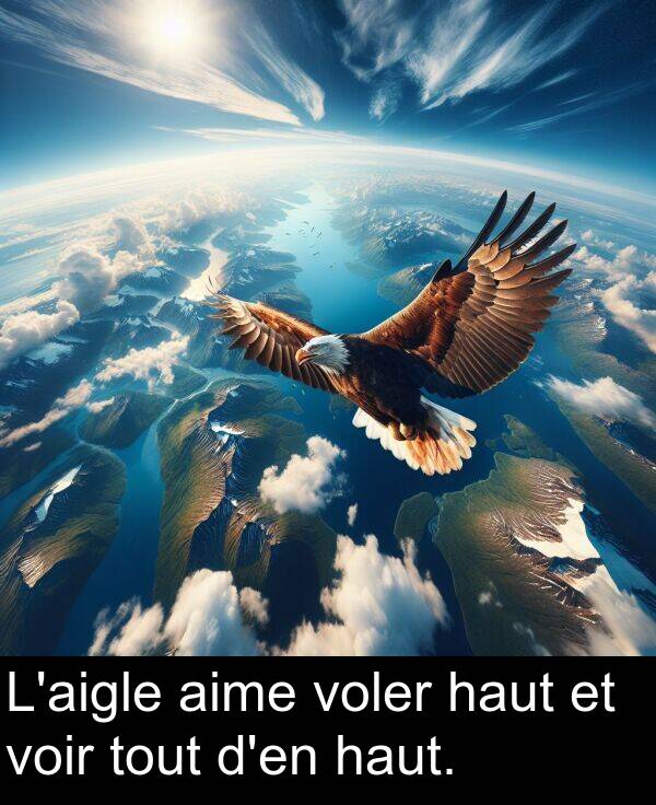 aime: L'aigle aime voler haut et voir tout d'en haut.