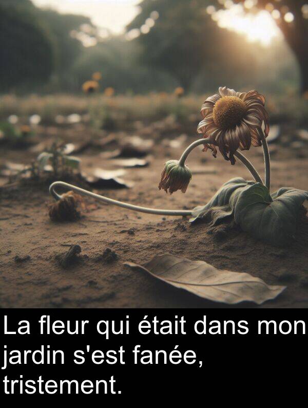 qui: La fleur qui était dans mon jardin s'est fanée, tristement.