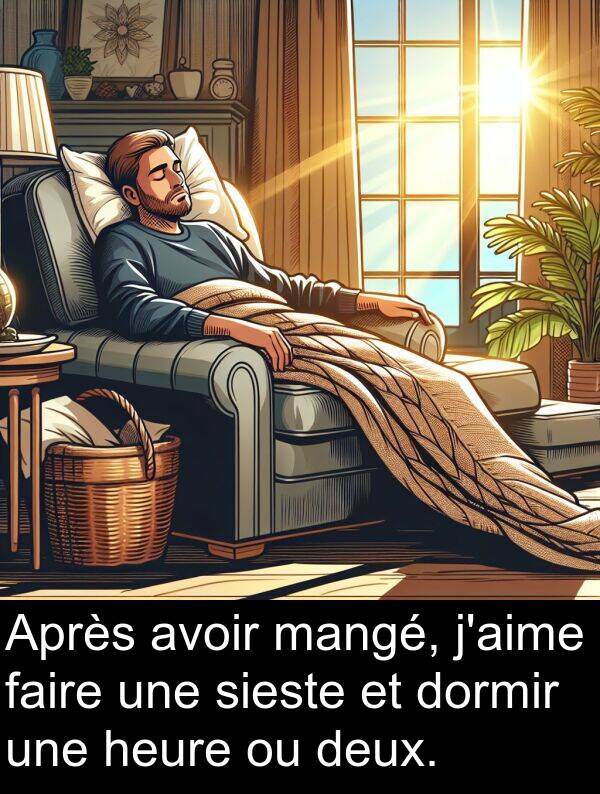 faire: Après avoir mangé, j'aime faire une sieste et dormir une heure ou deux.