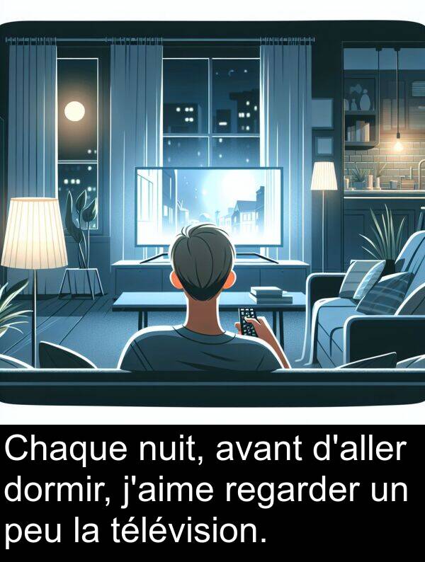 télévision: Chaque nuit, avant d'aller dormir, j'aime regarder un peu la télévision.