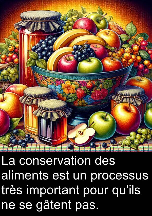 important: La conservation des aliments est un processus très important pour qu'ils ne se gâtent pas.