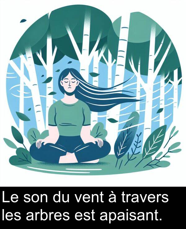 arbres: Le son du vent à travers les arbres est apaisant.