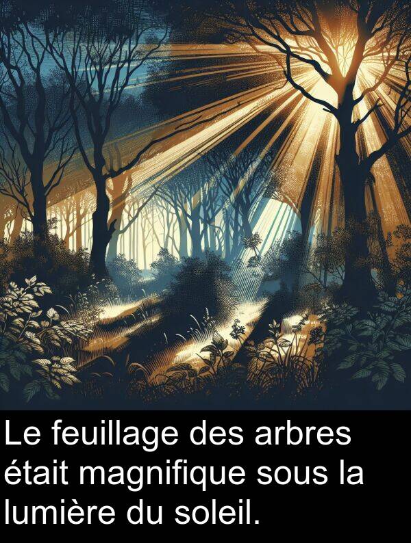 feuillage: Le feuillage des arbres était magnifique sous la lumière du soleil.