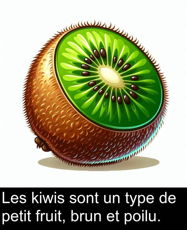 petit: Les kiwis sont un type de petit fruit, brun et poilu.