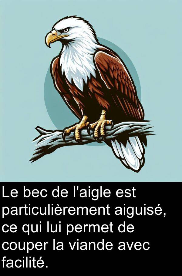 aiguisé: Le bec de l'aigle est particulièrement aiguisé, ce qui lui permet de couper la viande avec facilité.