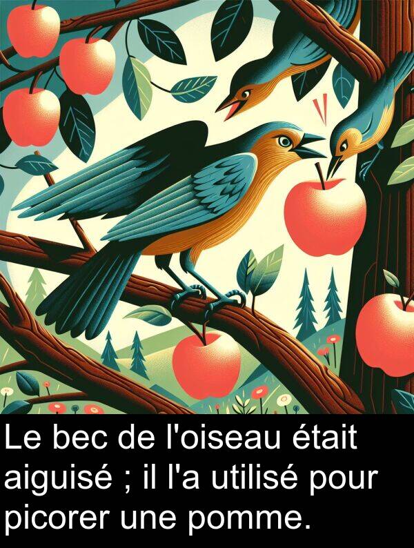 aiguisé: Le bec de l'oiseau était aiguisé ; il l'a utilisé pour picorer une pomme.