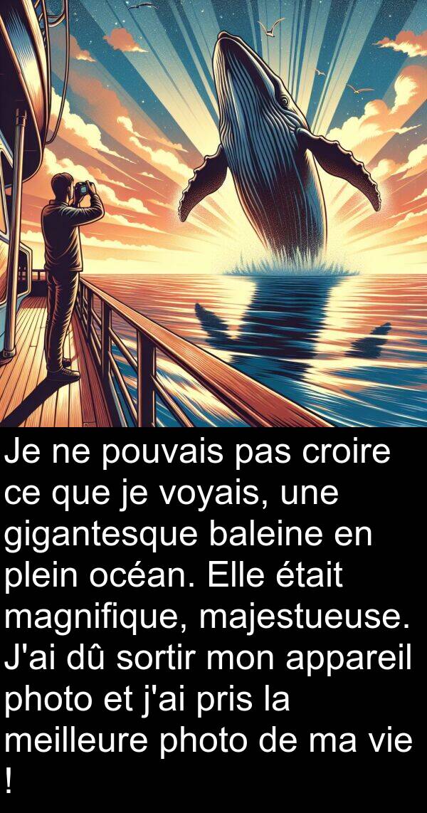 voyais: Je ne pouvais pas croire ce que je voyais, une gigantesque baleine en plein océan. Elle était magnifique, majestueuse. J'ai dû sortir mon appareil photo et j'ai pris la meilleure photo de ma vie !