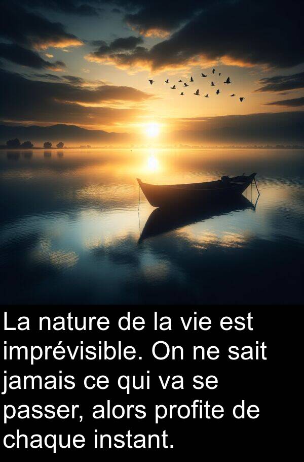 imprévisible: La nature de la vie est imprévisible. On ne sait jamais ce qui va se passer, alors profite de chaque instant.