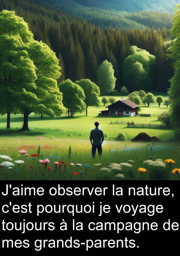 voyage: J'aime observer la nature, c'est pourquoi je voyage toujours à la campagne de mes grands-parents.