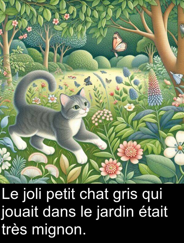 petit: Le joli petit chat gris qui jouait dans le jardin était très mignon.