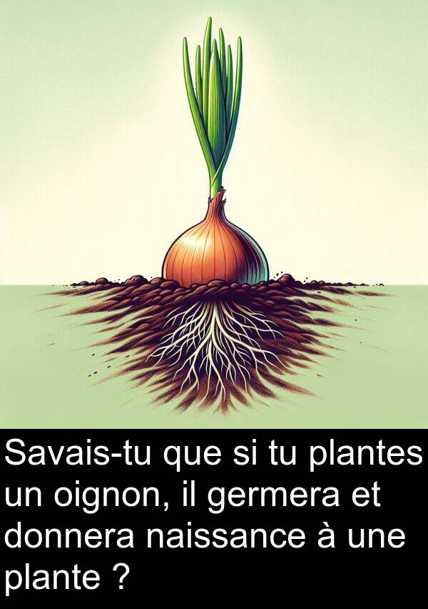 plantes: Savais-tu que si tu plantes un oignon, il germera et donnera naissance à une plante ?