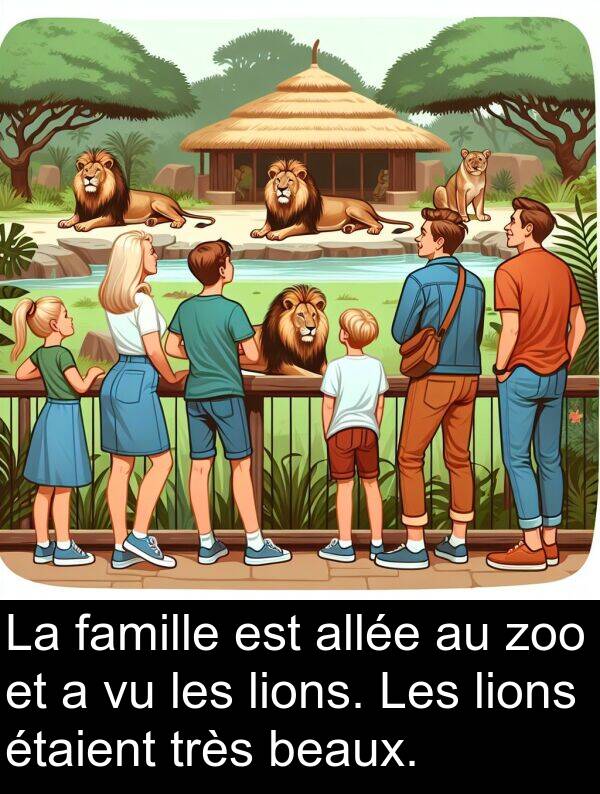 famille: La famille est allée au zoo et a vu les lions. Les lions étaient très beaux.