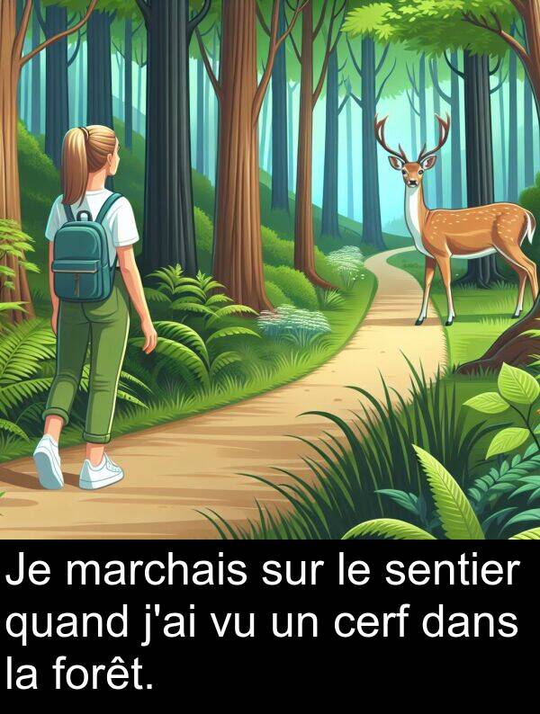 quand: Je marchais sur le sentier quand j'ai vu un cerf dans la forêt.