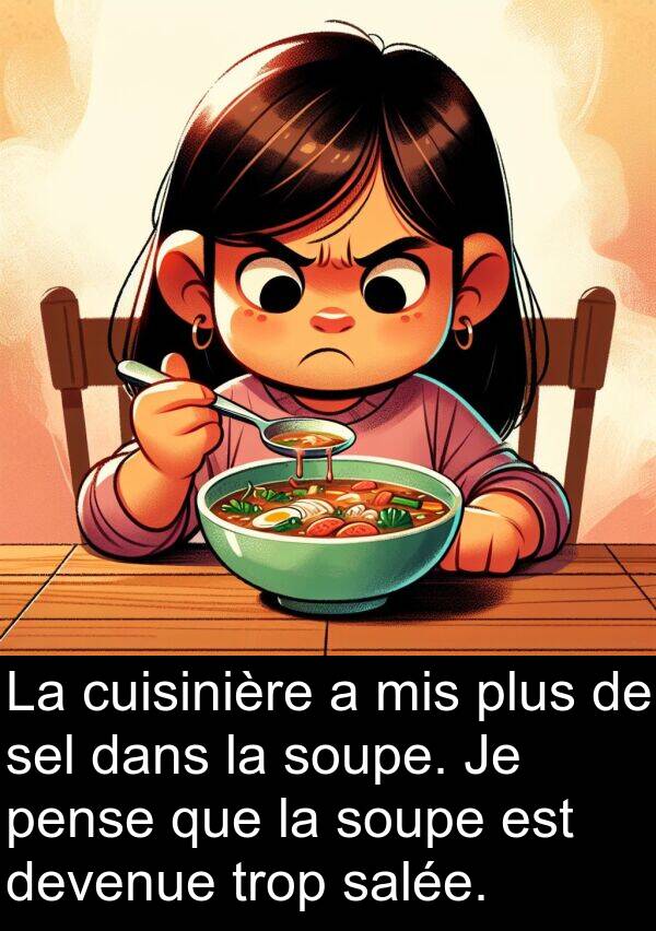 salée: La cuisinière a mis plus de sel dans la soupe. Je pense que la soupe est devenue trop salée.