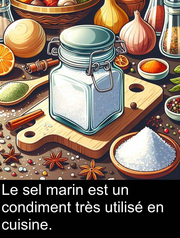 utilisé: Le sel marin est un condiment très utilisé en cuisine.