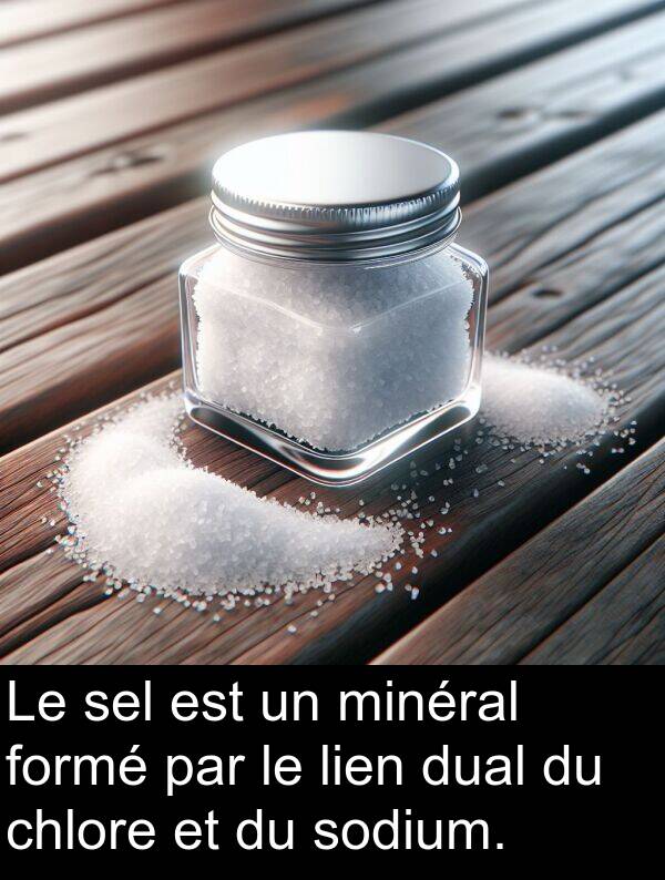 lien: Le sel est un minéral formé par le lien dual du chlore et du sodium.